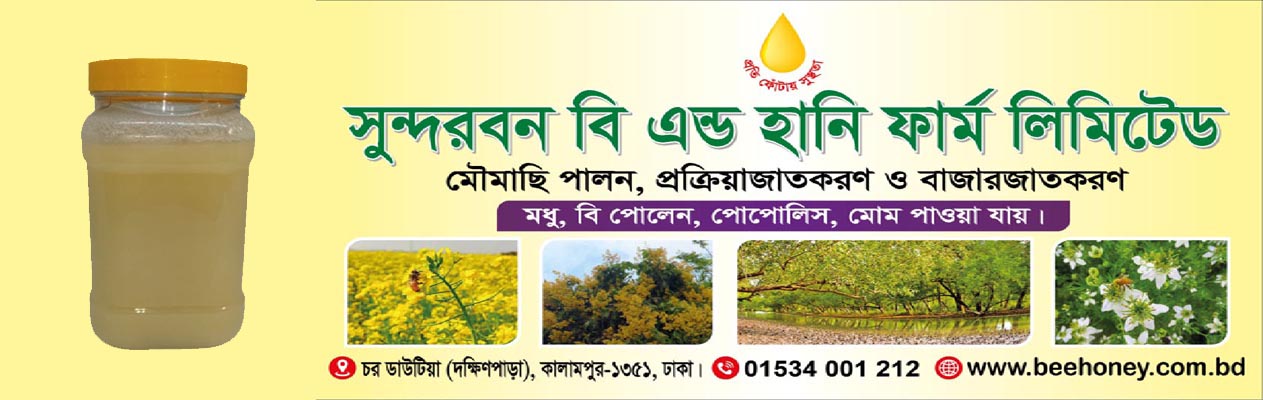 Premium product banner