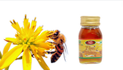 Honey Products /মধু বা মধুপন্য